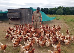 Poules et Nicolas Dufrien de la Ferme est dans l'sac @ Lydia Labrue