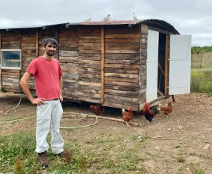 Nicolas Hongrois et ses poules